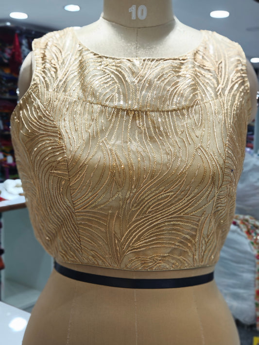 Bollywood fancy blouse